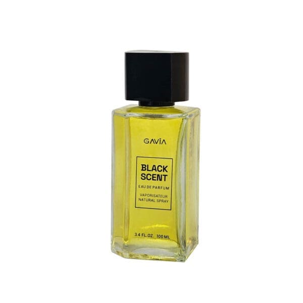 Gavia Black Scent Eau de Parfum for Men | The Glam Edition