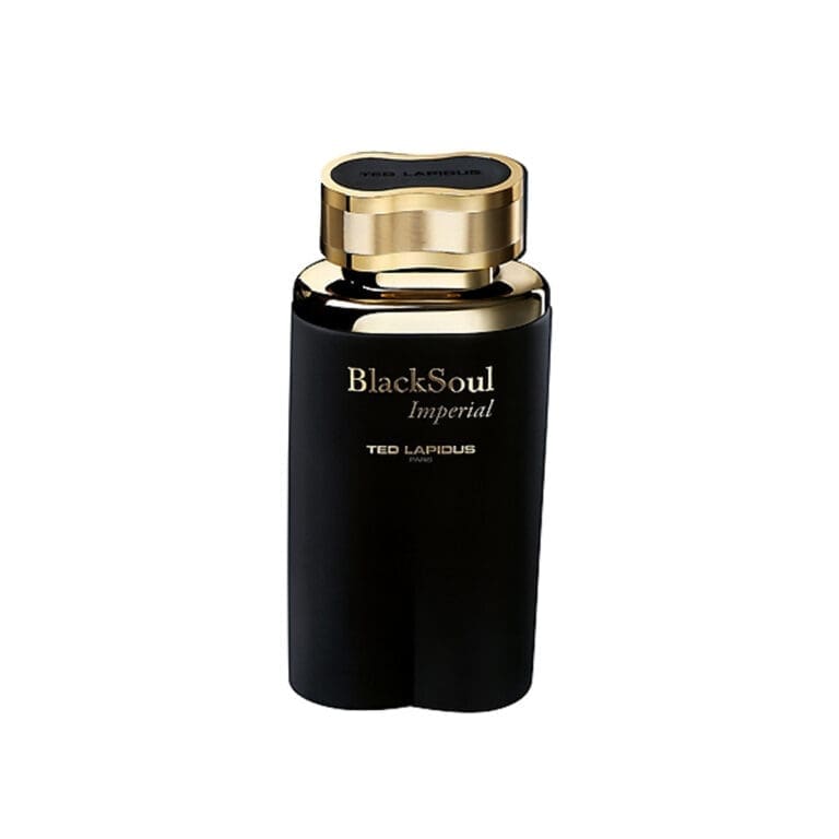 Ted Lapidus Black Soul Imperial EDT for Men | The Glam Edition